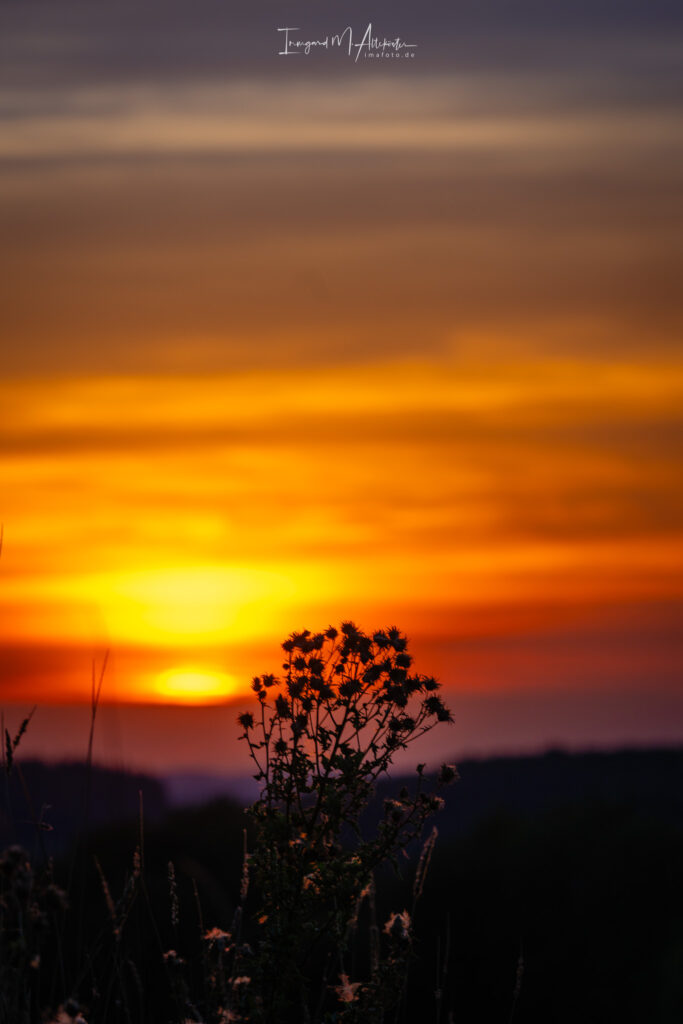 FB A6707221 IMA-foto-2